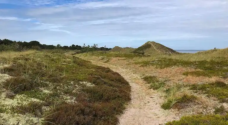 Sommerhus på Læsø