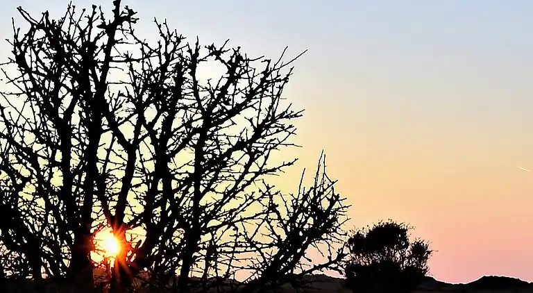 Sommerhus på Læsø