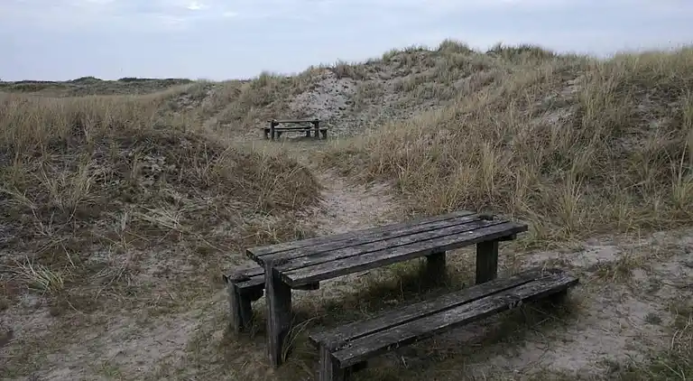 Sommerhus på Læsø