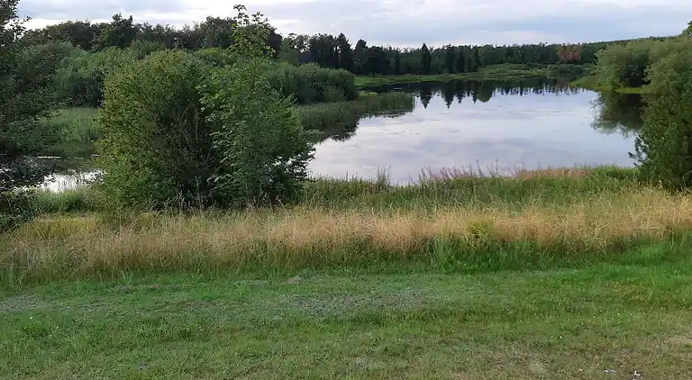 Holiday home in Brovst