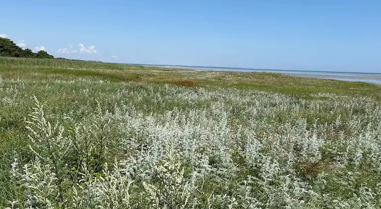 Holiday home in Ørsted