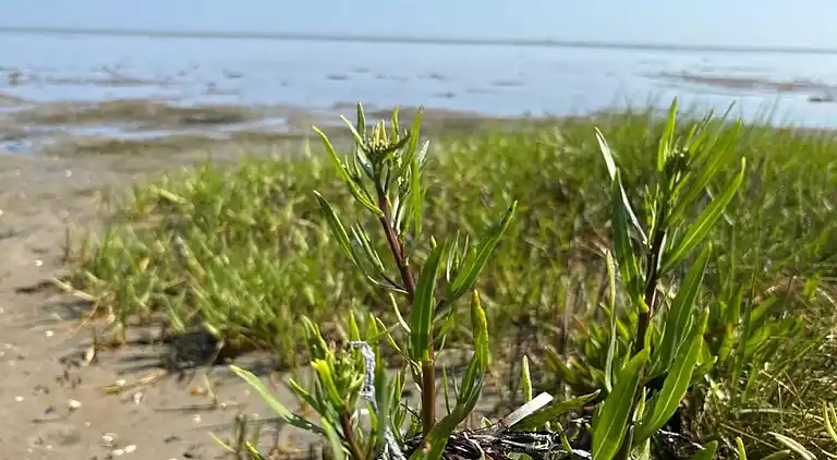 Holiday home in Ørsted