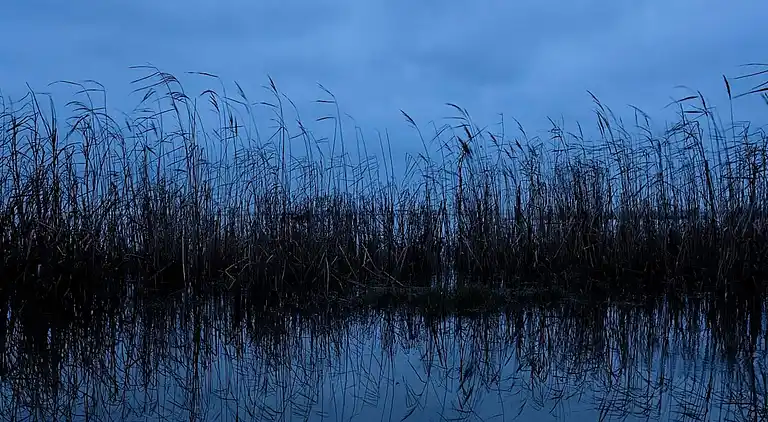 Maison de vacances en Hou