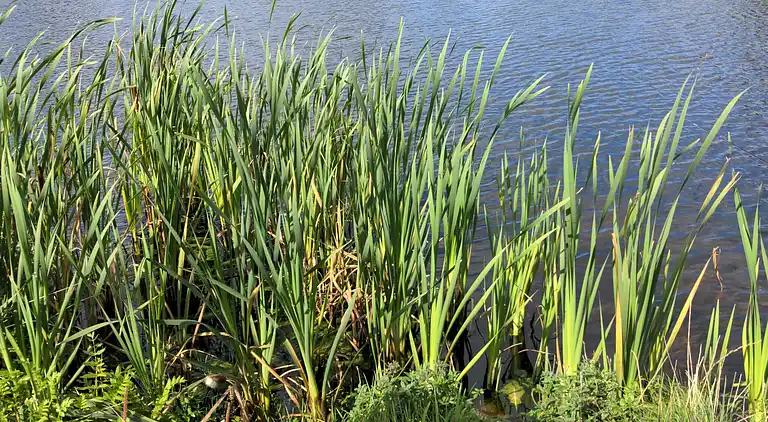 Holiday home in Skals