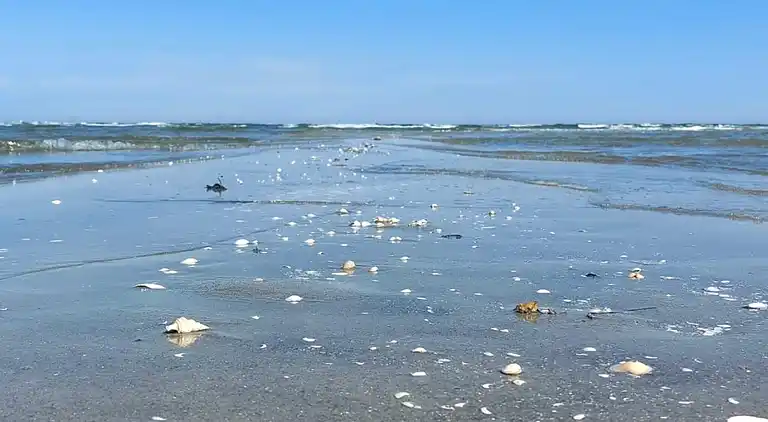 Maison de vacances en Hou