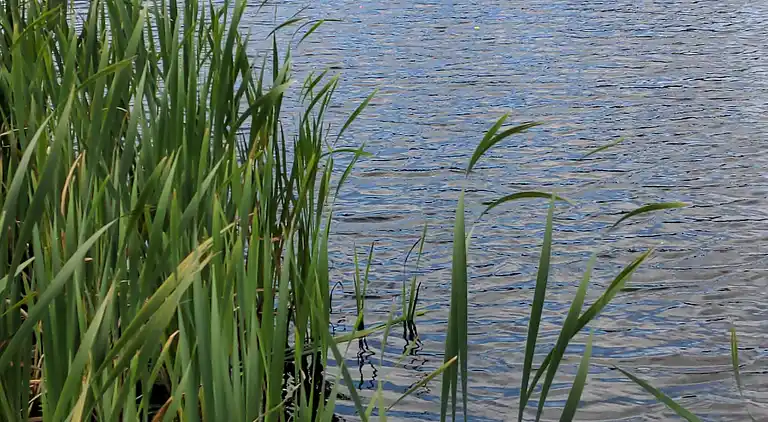 Holiday home in Skals