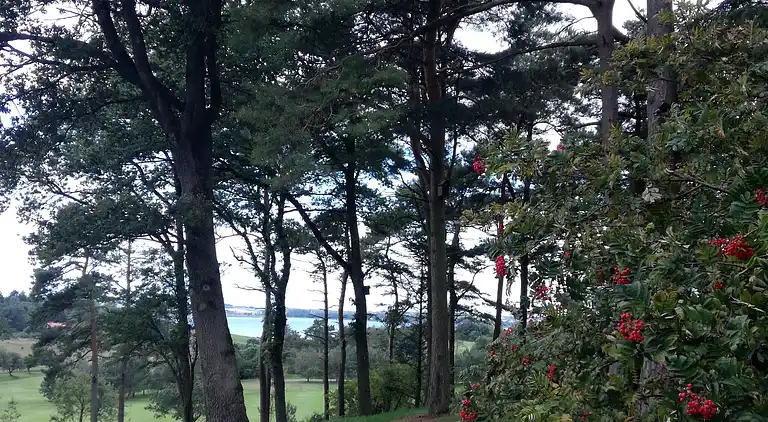 Holiday home in Skals