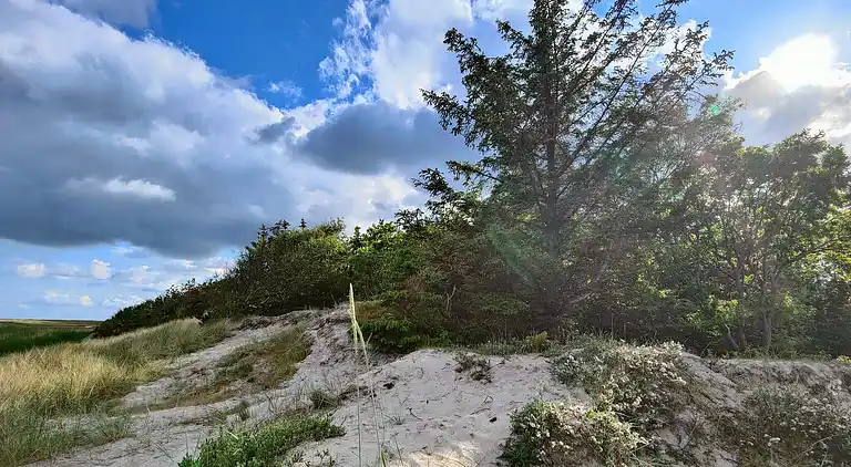 Maison de vacances en Hou