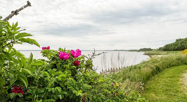 Holiday home in Roslev