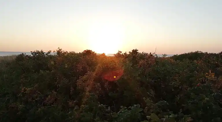 Holiday home in Store Fuglede