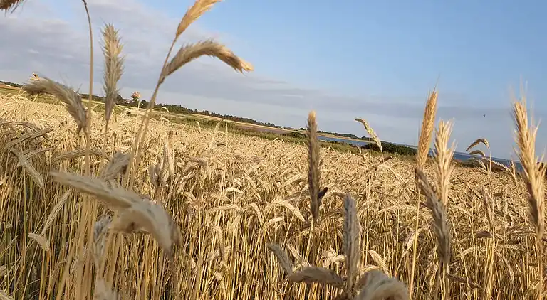 Holiday home in Trend