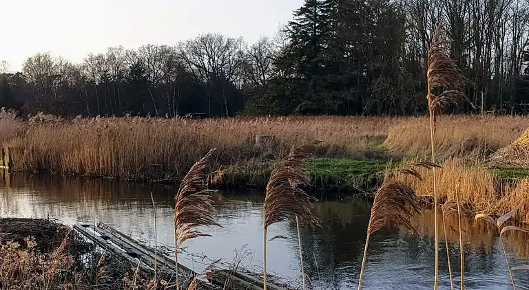 Holiday home in Store Fuglede