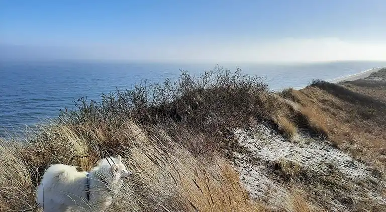 Casa vacanze in Sæby