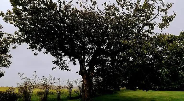Holiday home in Grønhøj