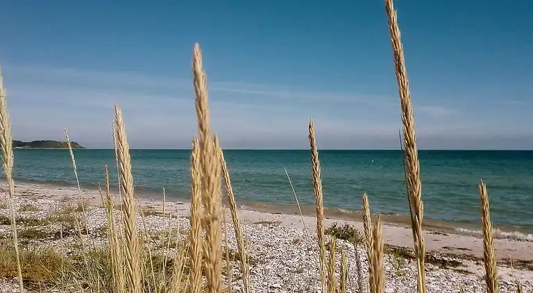 Sommerhus ved Vibæk Strand