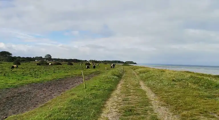Maison de vacances au Nordborg