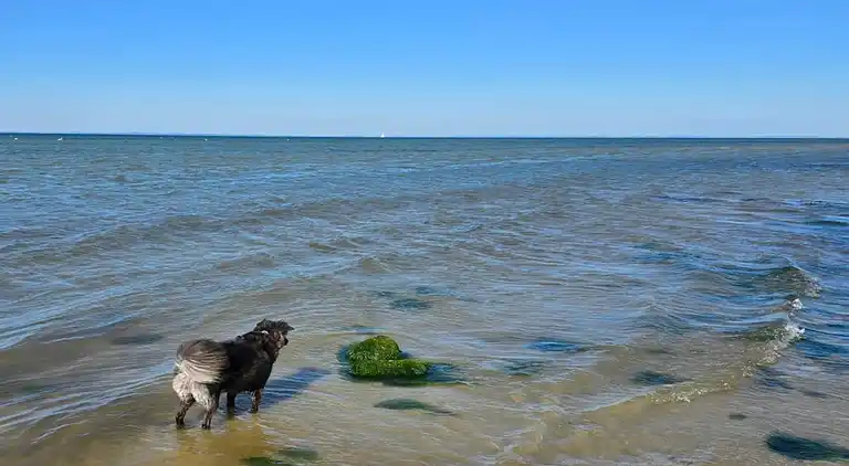 Maison de vacances au Nordborg