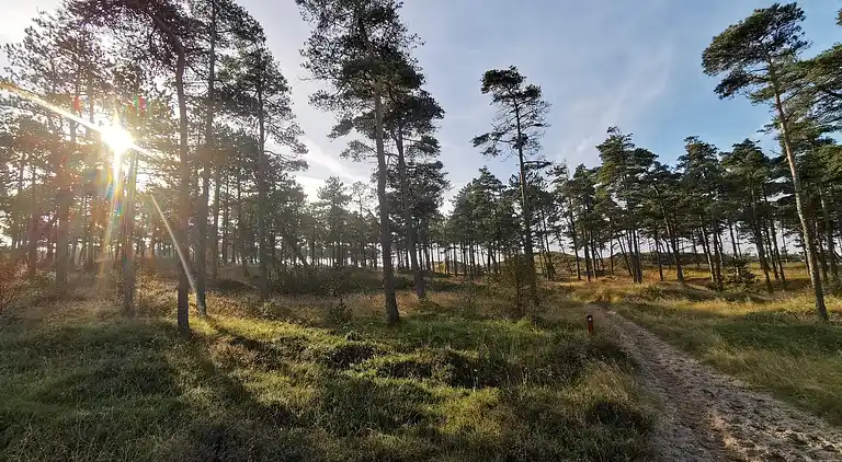 Casa vacanze in Thyholm