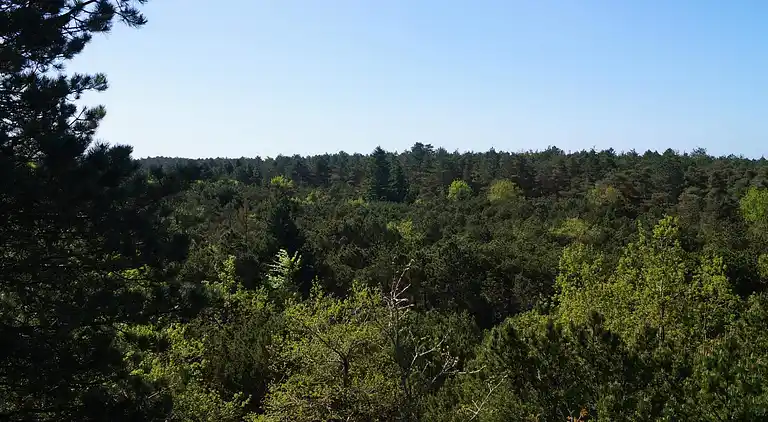 Casa vacanze in Thyholm