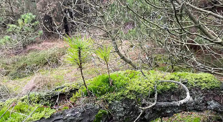 Casa vacanze in Thyholm