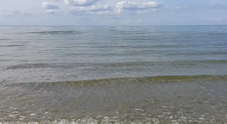 Holiday home in Jammerbugt