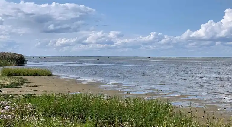 Holiday home in Jammerbugt