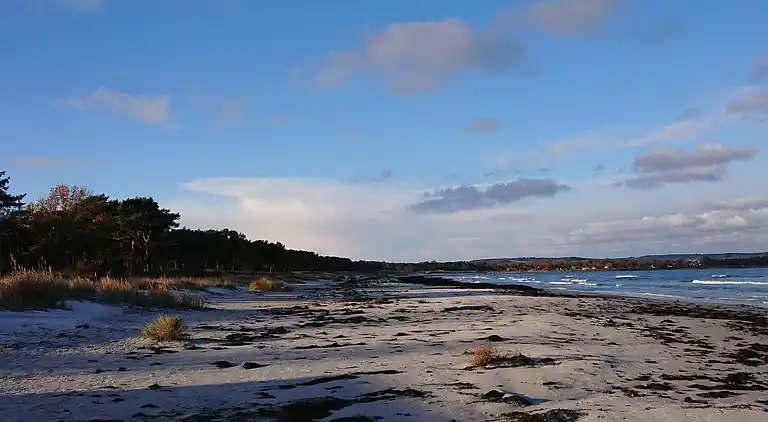 Feriebolig i Dannemare