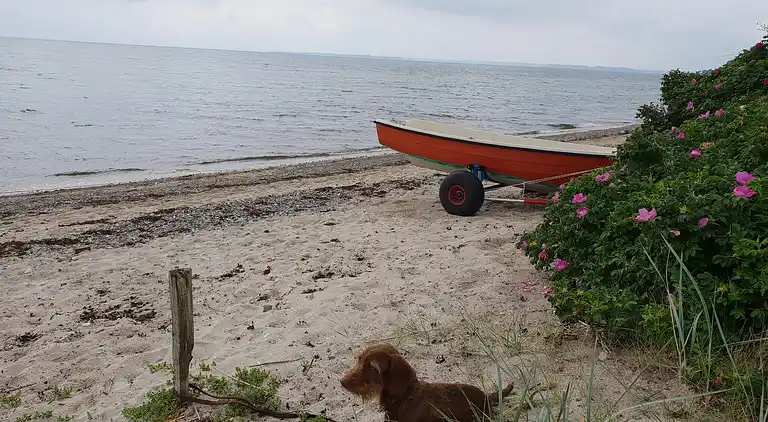Sommerhus ved Kelstrup Strand