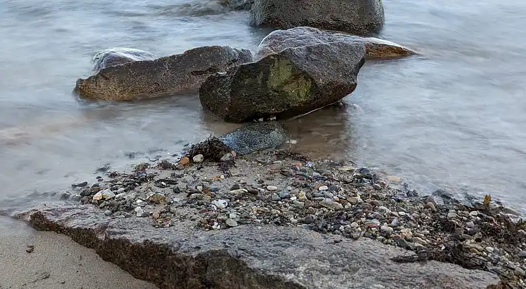 Sommerhus ved Kelstrup Strand