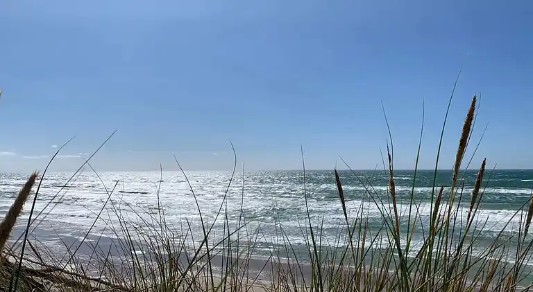 Holiday home in Jammerbugt