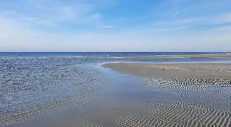 Holiday home in Jammerbugt