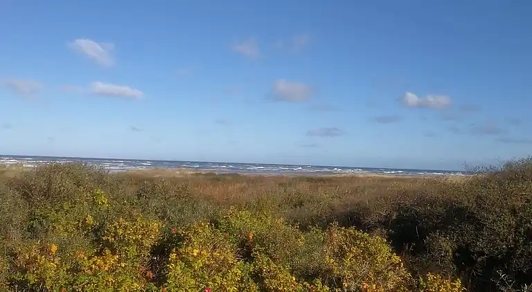 Feriebolig i Bindslev