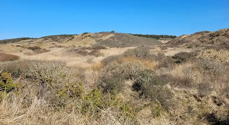 Feriebolig i Hirtshals