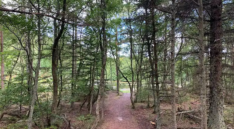 Feriebolig i Bindslev