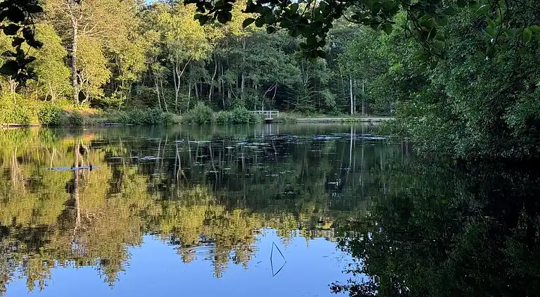 Feriebolig i Bindslev