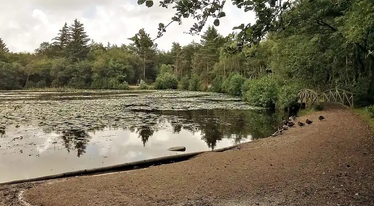 Sommerhus i Bindslev