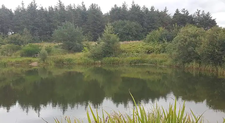 Sommerhus i Branderup J