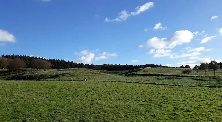 Sommerhus ved Bønnerup Strand
