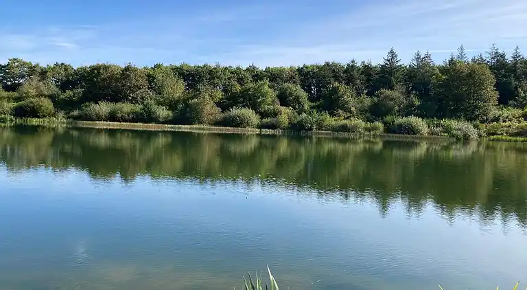 Sommerhus i Branderup J