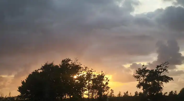 Sommerhus i Branderup J