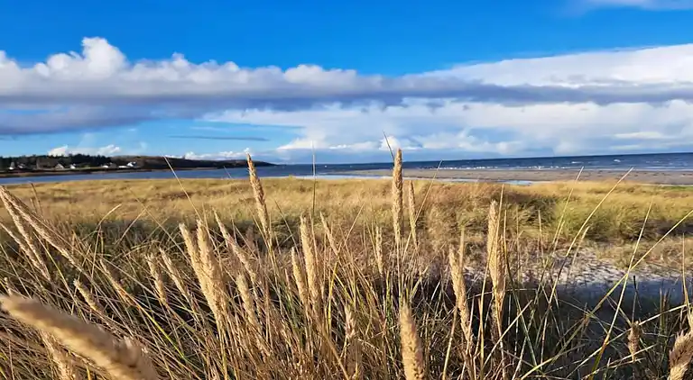 Sommerhus ved Bønnerup Strand