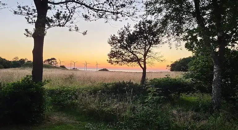 Sommerhus ved Bønnerup Strand