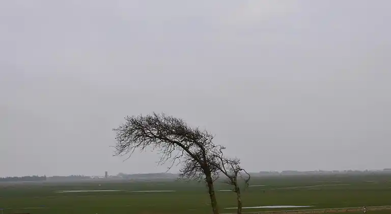 Sommerhus i Branderup J