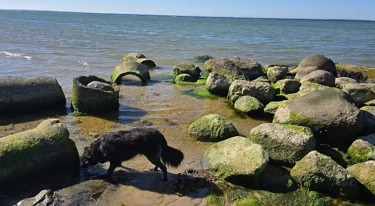 Semesterbostad i Nordborg