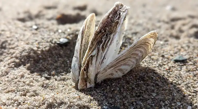 Holiday home in Vinderup