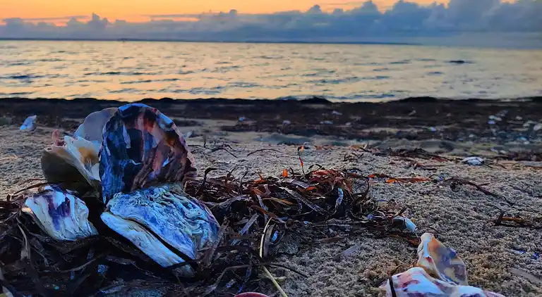 Holiday home in Vinderup