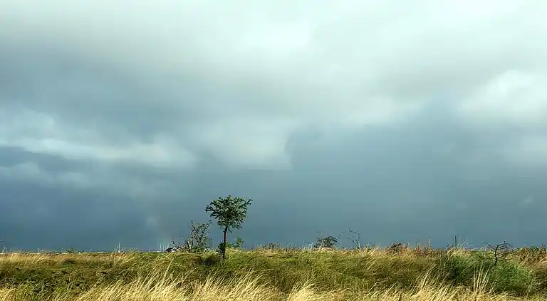 Holiday home in Vinderup