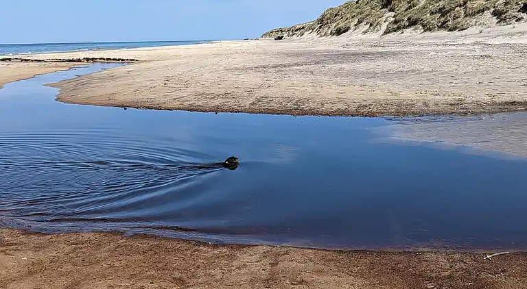 Feriebolig i Hirtshals