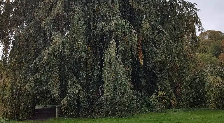 Holiday home in Øster Assels