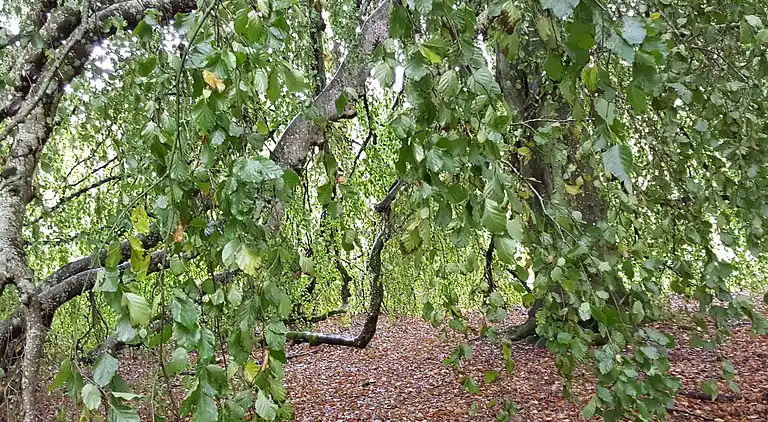 Holiday home in Øster Assels